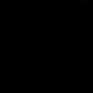 Meet your Posher, Vanjelica